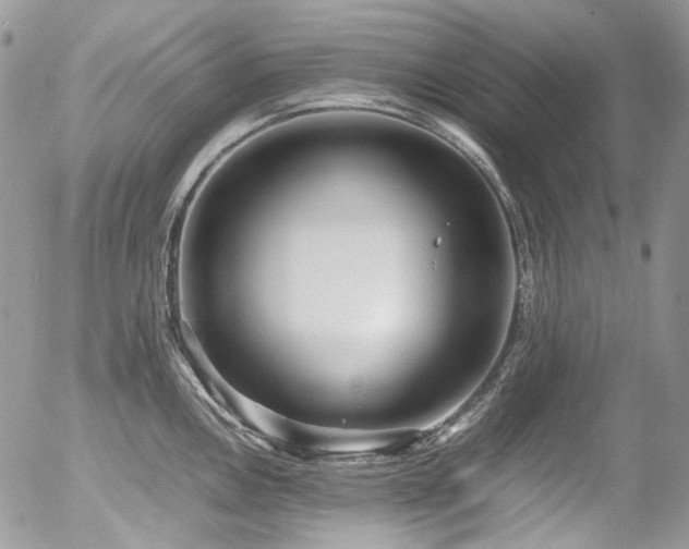 X0000054371146200507291040