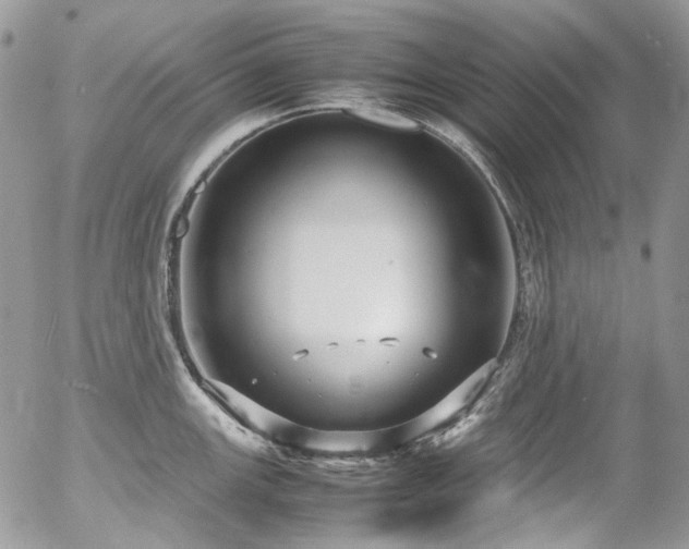 X0000054371147200507291040