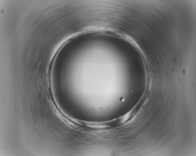 X0000054371148200507291040