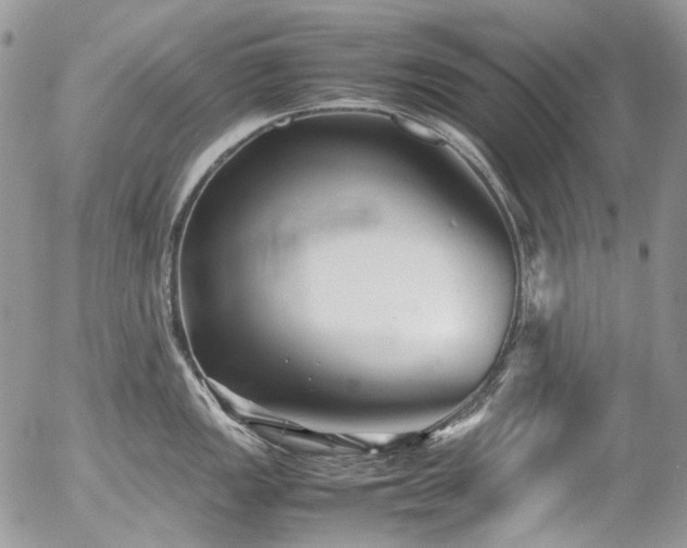 X0000054371149200507291040