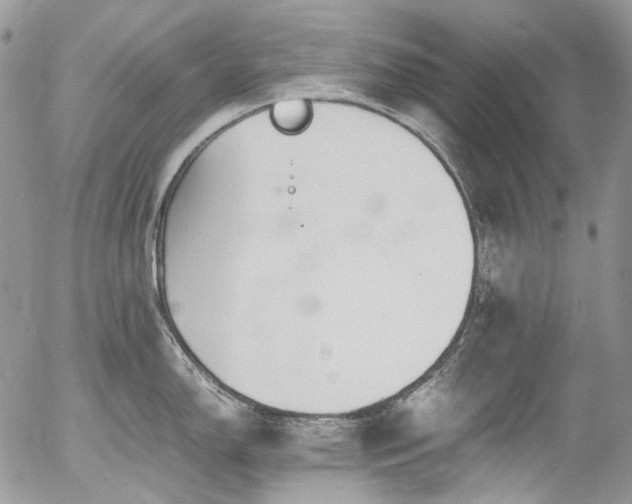 X0000054371150200507291040