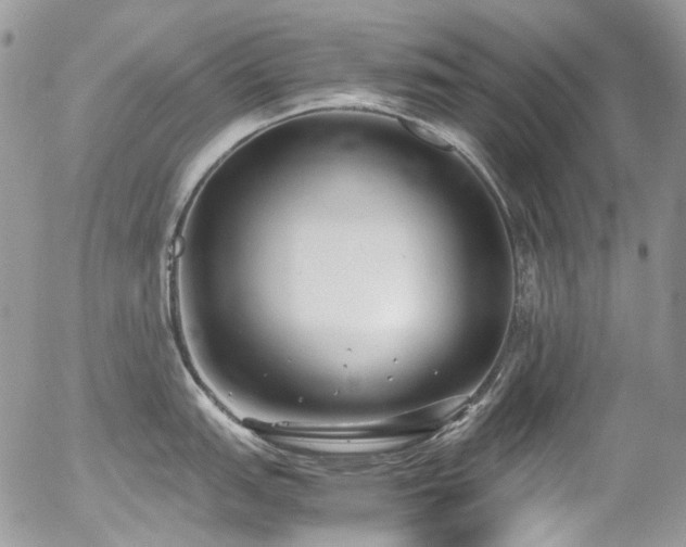 X0000054371151200507291040