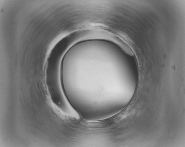 X0000054371152200507291040