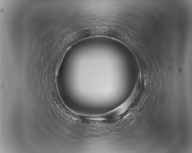 X0000054371153200507291039