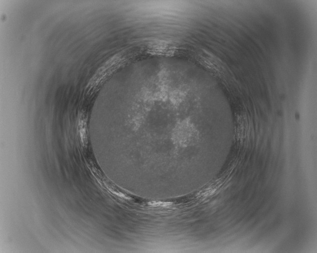 X0000054371154200507291039