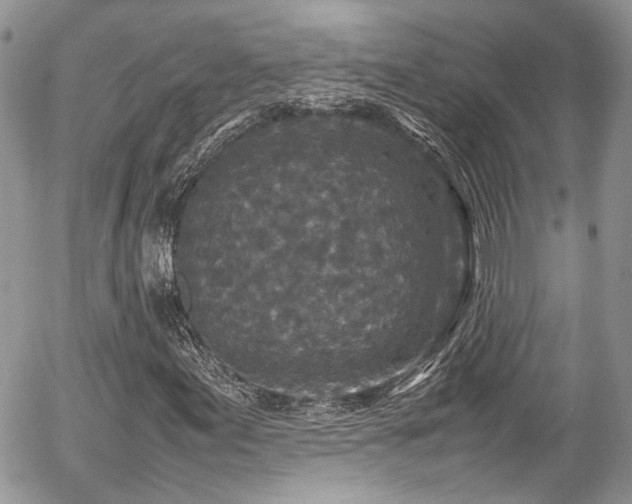 X0000054371155200507291039