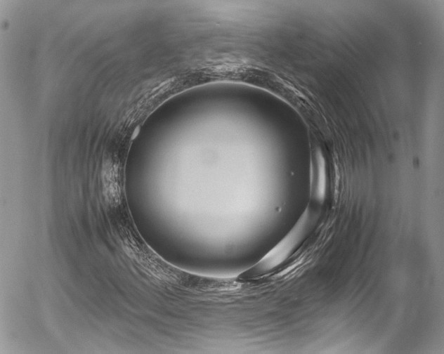 X0000054371156200507291039