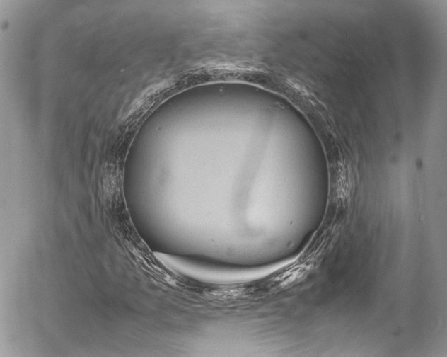 X0000054371157200507291039