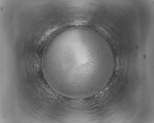 X0000054371158200507291039