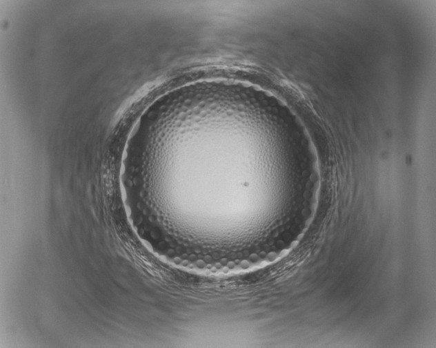 X0000054371159200507291039