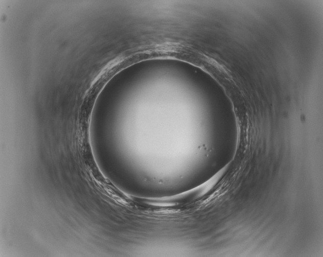 X0000054371160200507291039