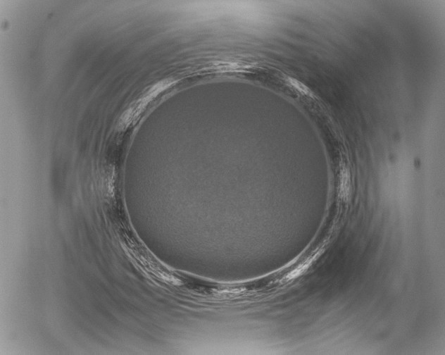 X0000054371161200507291039