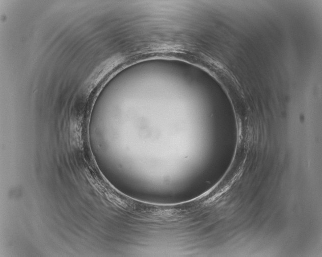 X0000054371162200507291039