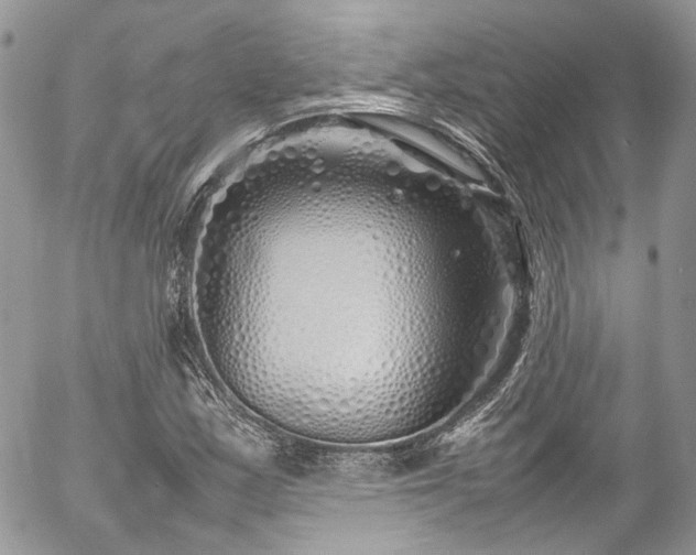 X0000054371163200507291039