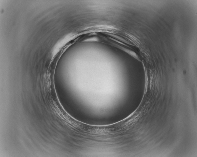 X0000054371164200507291039