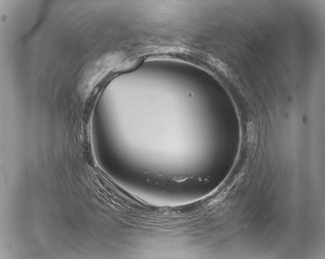 X0000054371165200507291039