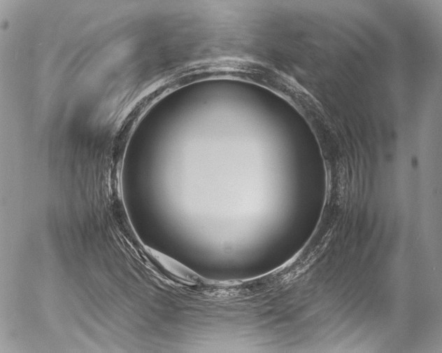 X0000054371166200507291039