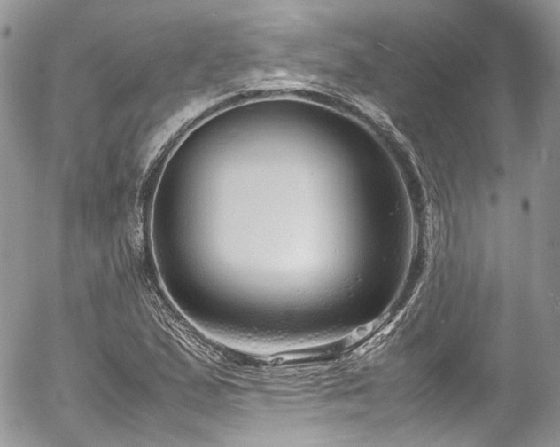 X0000054371167200507291039