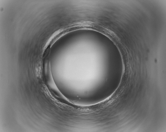 X0000054371168200507291039