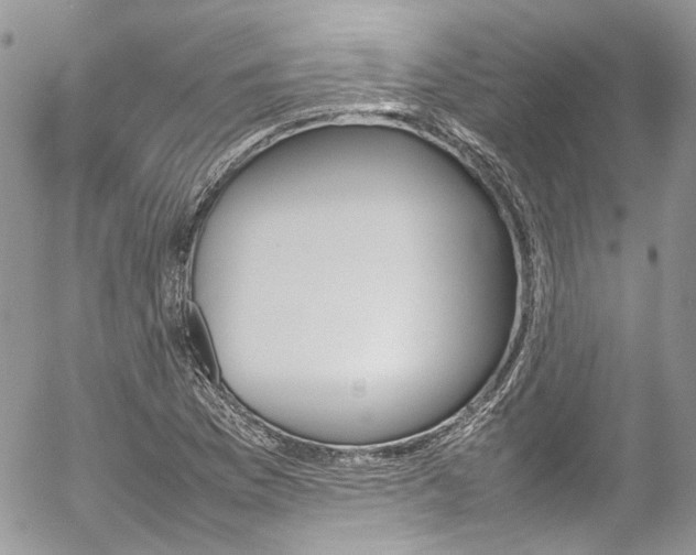 X0000054371169200507291039