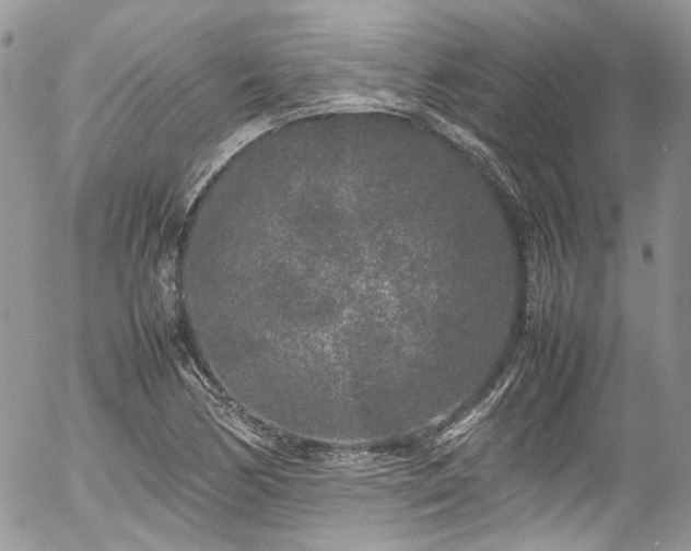 X0000054371170200507291039