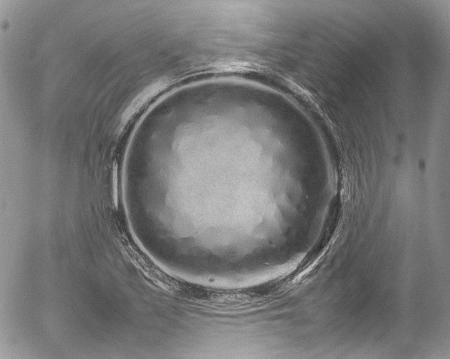 X0000054371171200507291039