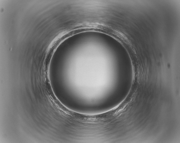 X0000054371172200507291039