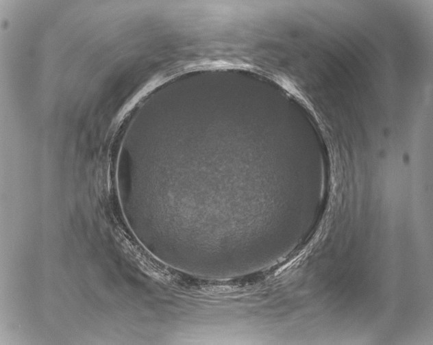 X0000054371173200507291039