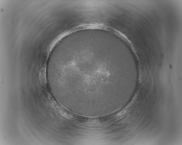 X0000054371174200507291039