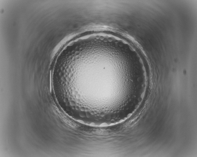 X0000054371175200507291039