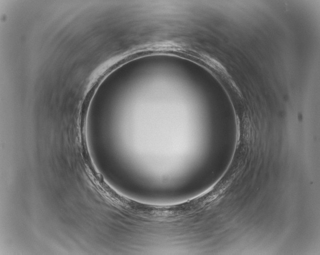 X0000054371176200507291039