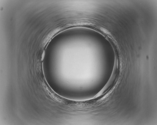 X0000054371177200507291039