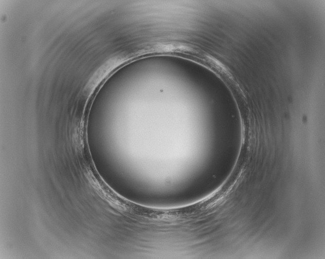 X0000054371178200507291039