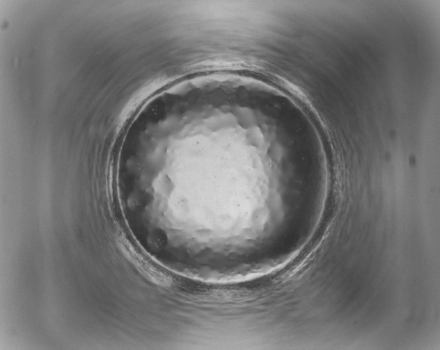 X0000054371179200507291039