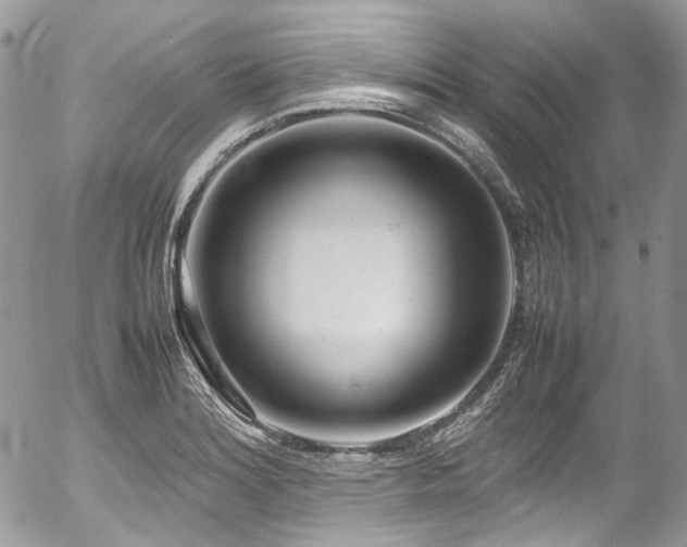 X0000054371180200507291039