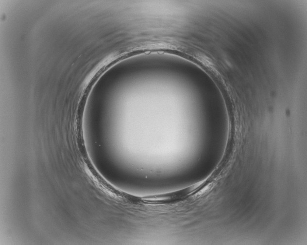 X0000054371181200507291039