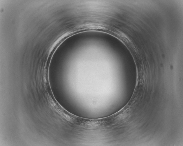 X0000054371182200507291039