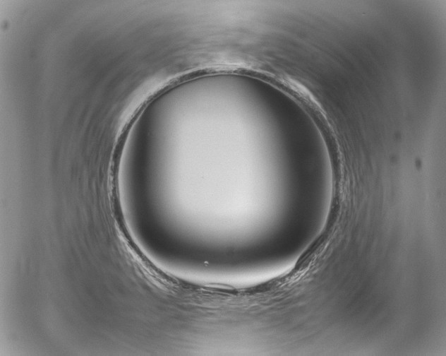 X0000054371183200507291039