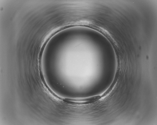 X0000054371184200507291039