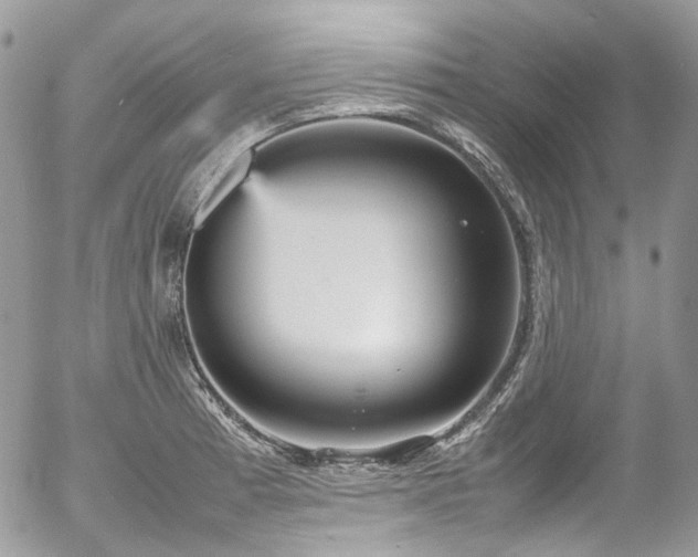 X0000054371185200507291039