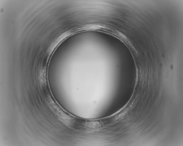 X0000054371186200507291039