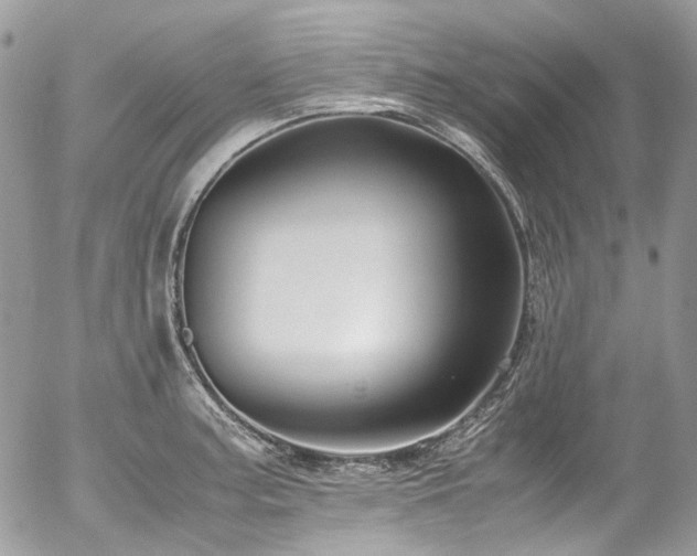 X0000054371187200507291039