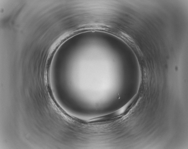 X0000054371188200507291039