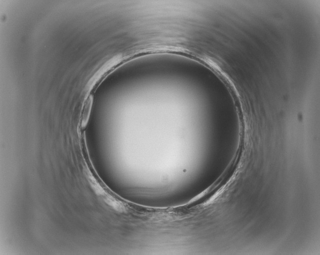 X0000054371189200507291039