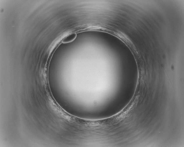 X0000054371190200507291039