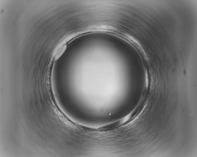 X0000054371192200507291039