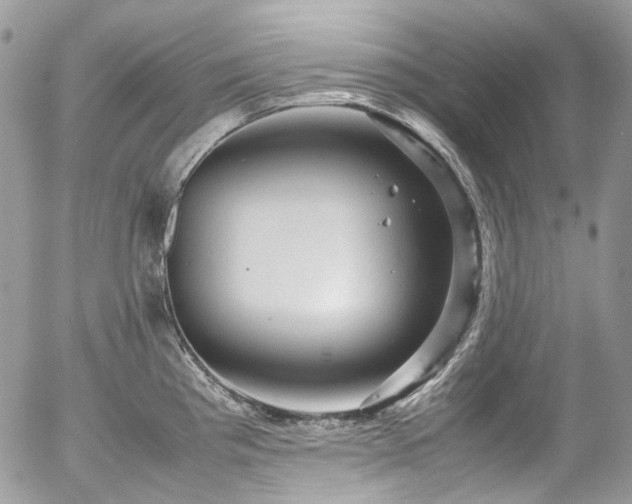 X0000054371193200507291039