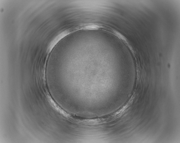 X0000054371194200507291039