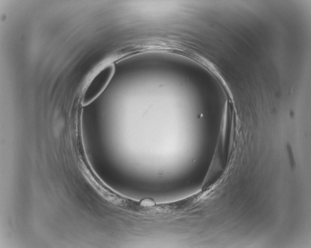 X0000054371195200507291039