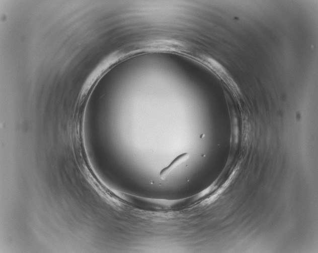 X0000054371196200507291039